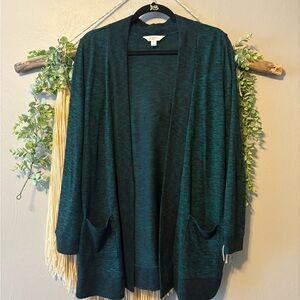 Market & Spruce Dark Teal Cardigan